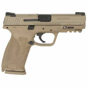Smith & Wesson 11767 M&P M2.0 9mm Luger 4.25 17+1 Flat Dark Earth Truglo TFX Sights